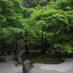 光明禅寺