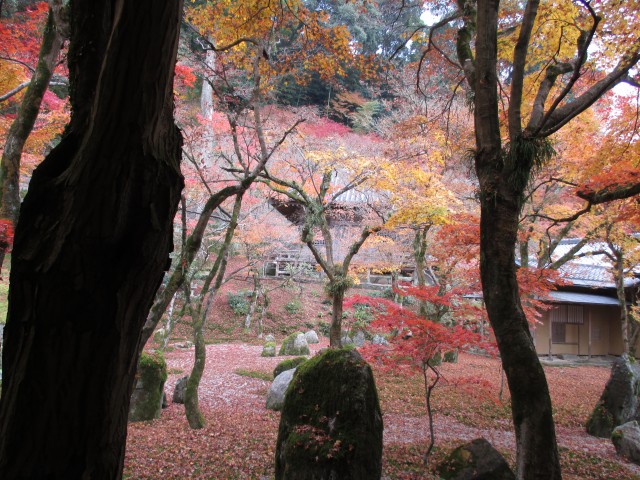 光明禅寺の紅葉