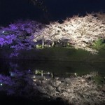 舞鶴公園の福岡城さくらまつり日程