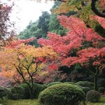 2016年九年庵の紅葉情報と混雑状況待ち時間や渋滞 佐賀の紅葉スポット