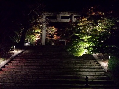 竈門神社の夜の石段