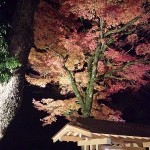 竈門神社の紅葉2016の見ごろは?ライトアップの時間や時期は?太宰府の紅葉スポット