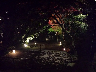 竈門神社の紅葉ライトアップ3