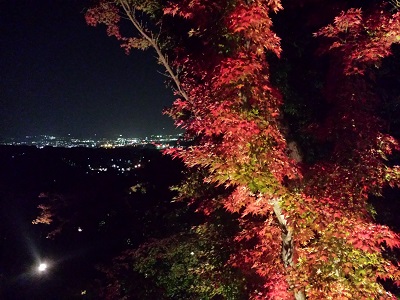 竈門神社の紅葉ライトアップ6