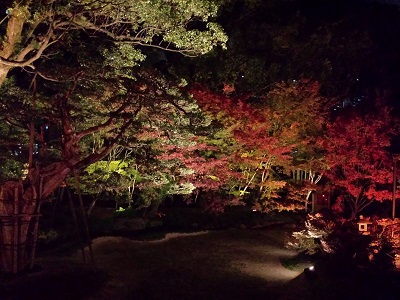 博多ライトアップウォークの承天寺の紅葉