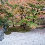 太宰府の光明禅寺の紅葉状況2016 見ごろの時期はいつ