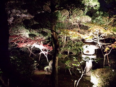 博多ライトアップウォークの円覚寺の庭園