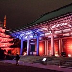 博多ライトアップウォークの感想口コミと食事の場所やチケットについて