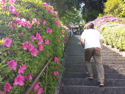 大興善寺の階段