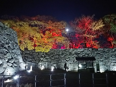 舞鶴公園福岡城跡ライトアップ
