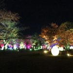 舞鶴公園福岡城跡ライトアップ
