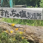 またいちの塩でプリン