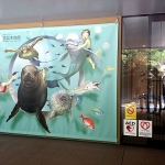 宮島水族館の料金は?前売り券はどこで買える?チケットの割引はある?
