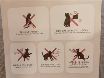 猫カフェMOCHA（モカ）の禁止事項